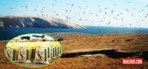 Agro Rural podrá comercializar 40 mil toneladas de guano de las islas